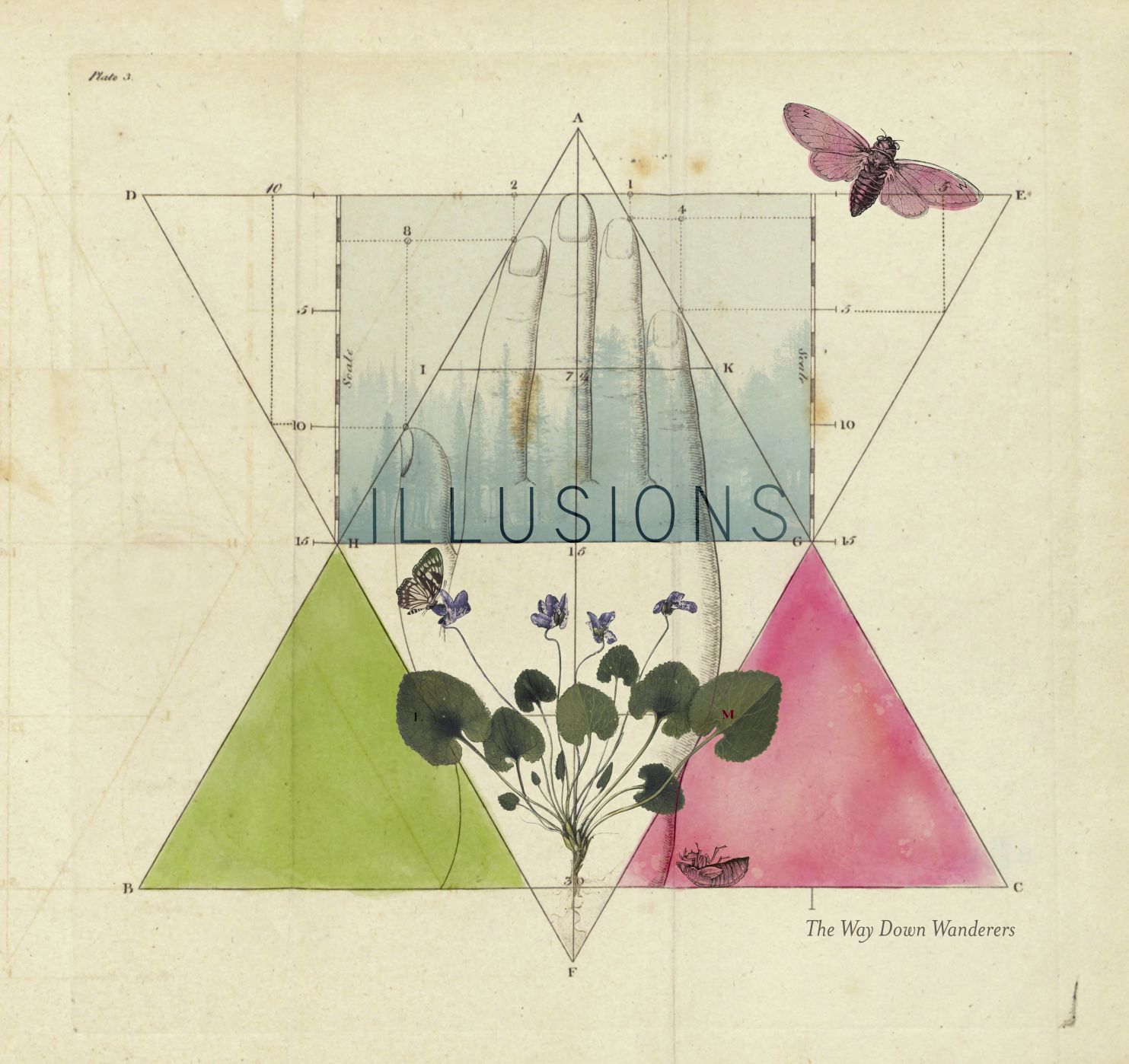 TheWayDownWanderers_AlbumCover_hand_collage_REV3.jpg